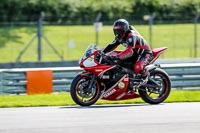 PJ-Motorsport-2019;donington-no-limits-trackday;donington-park-photographs;donington-trackday-photographs;no-limits-trackdays;peter-wileman-photography;trackday-digital-images;trackday-photos